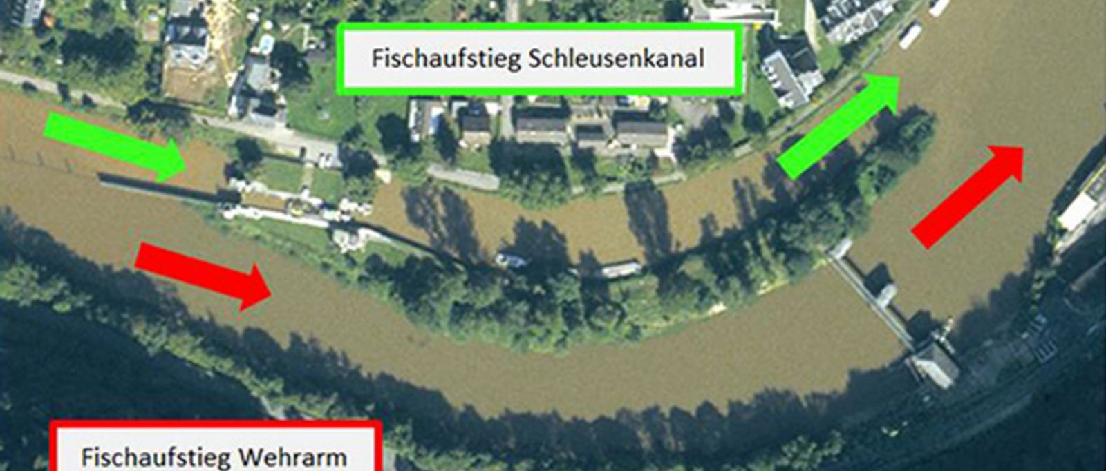 [Translate to English:] Fischschleusung